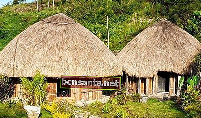 Папуасский традиционный дом, дизайн с соломенной крышей |  Berbol.co.id