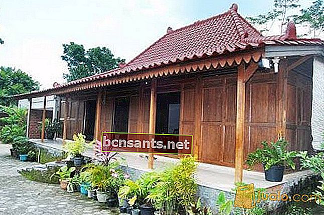 Яванский традиционный дом