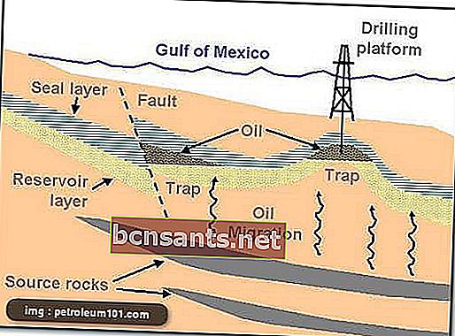 процесс образования нефти