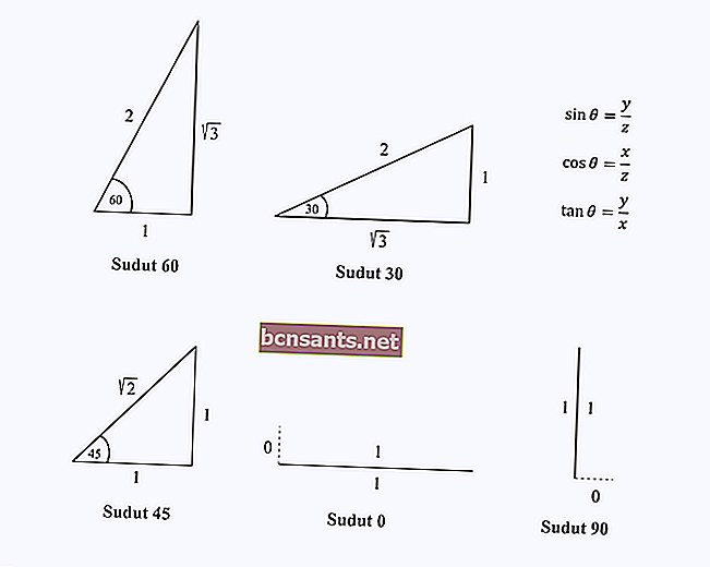 علم المثلثات الزاوية الخاصة