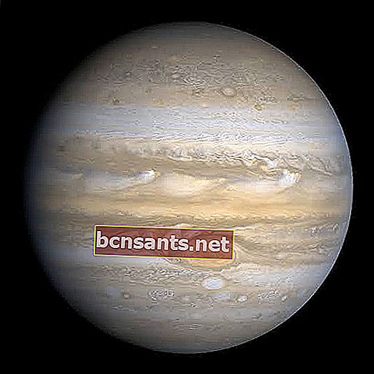 Jupiter est la plus grande planète