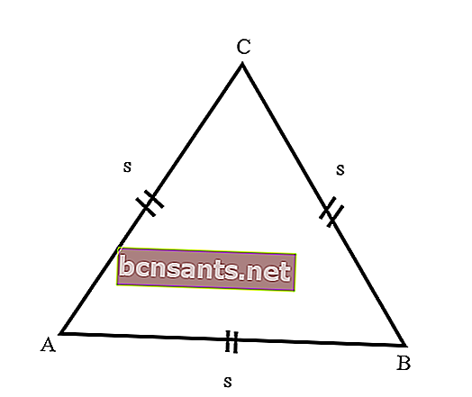 Cara mengira perimeter segitiga 