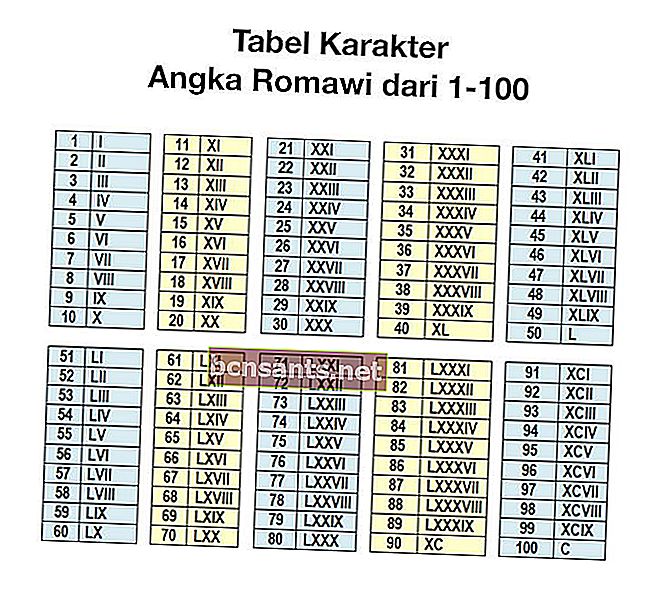 جدول كامل من 1-100 أرقام رومانية