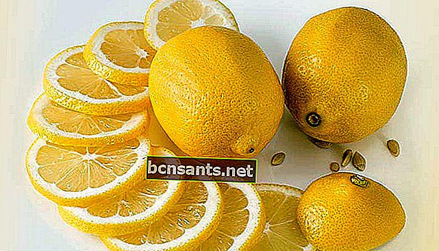 Khasiat lemon