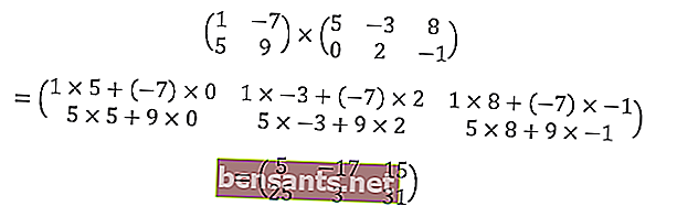 ejemplo de un problema de multiplicación de matrices