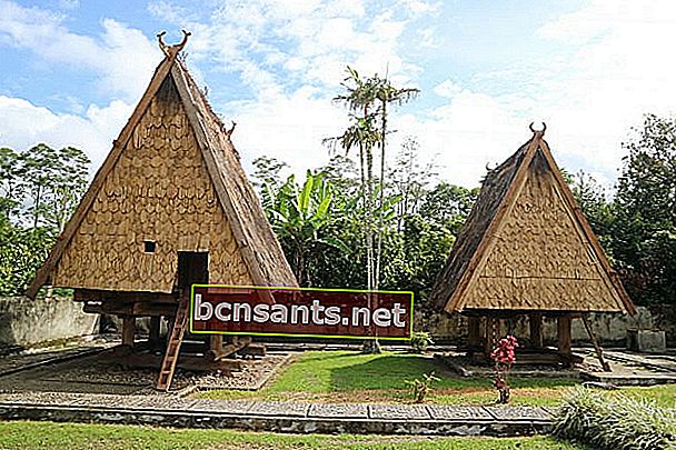 5 La singularidad de la casa tradicional Tambi de Central Sulawesi.  ¿Ya saben?