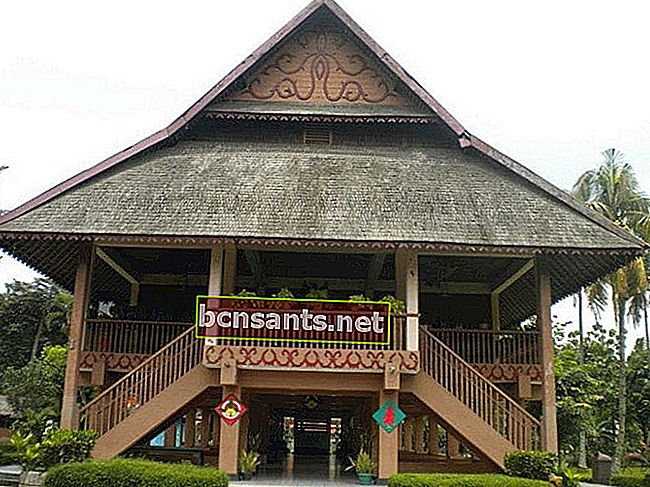 Casa tradicional da província de Sulawesi do Norte |  A casa do herdeiro - faizalefendi