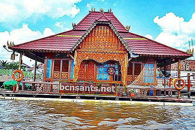 √บ้านดั้งเดิมของ Bangka Belitung [ประเภทที่สมบูรณ์และข้อเท็จจริงที่น่าสนใจ]