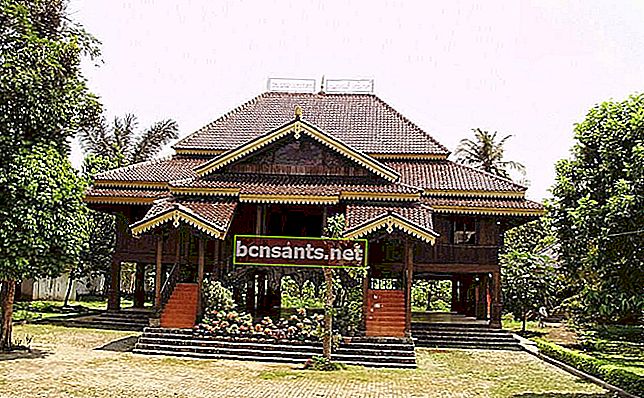 Lampung geleneksel evi: türü, yapısı, işlevi, malzemesi