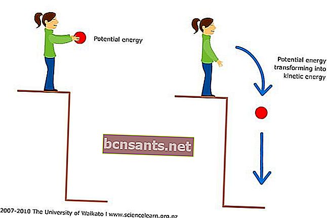Energia cinética e energia potencial 