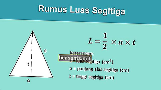 formula segitiga