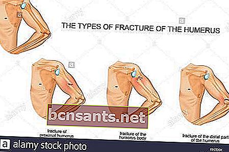 Função do braço