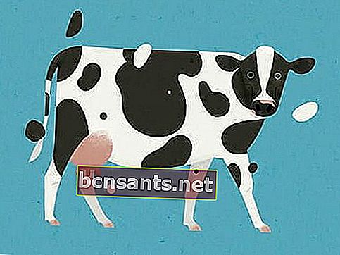 حكايات خرافية عن الأبقار والجاموس