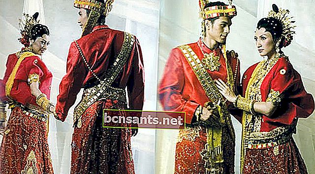 Pakaian tradisional Sulawesi Selatan