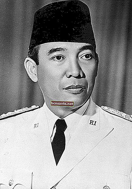 Imagem de herói nacional de Soekarno