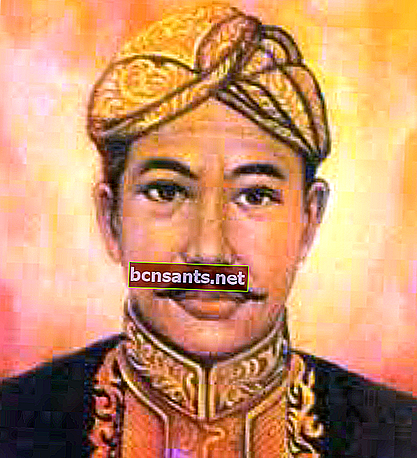 Perjalanan hidup Sultan Hasanuddin