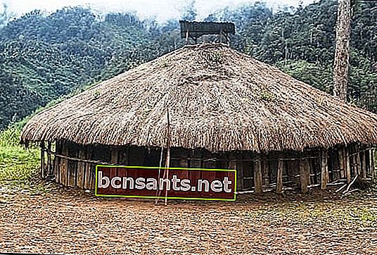 Casa tradicional papua