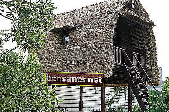 Maison traditionnelle balinaise