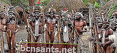 Apakah ciri-ciri pakaian tradisional Papua?  - Sains Fesyen - Komuniti Dictio