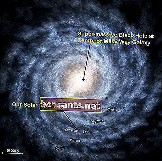 Galaksi filial dan lubang hitam