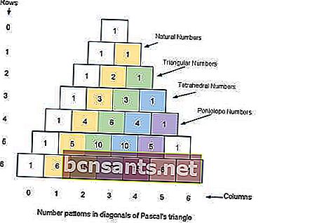 triangolo di Pascal