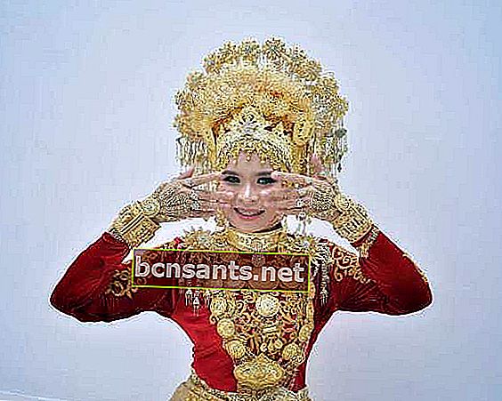 Pakaian tradisional Aceh yang dipakai oleh wanita