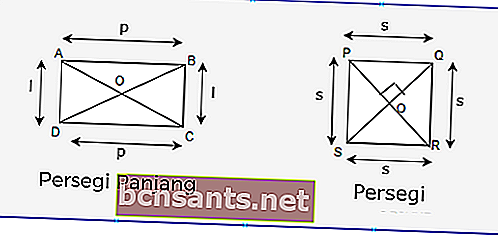 la diferencia entre cuadrado y rectángulo
