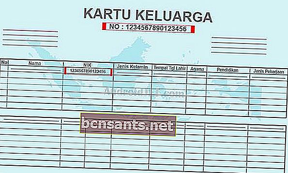 Not Sengkumang: registrazione della carta SIM prepagata (utilizzando KTP e KK)