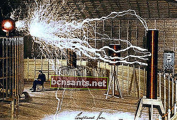 Nikola Tesla Elektrik