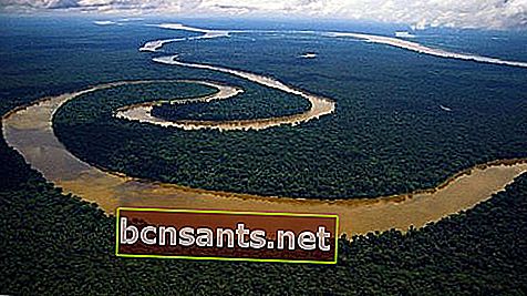 O maior rio do continente americano, o Amazonas