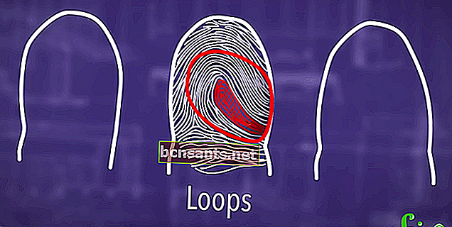 Loops de impressão digital