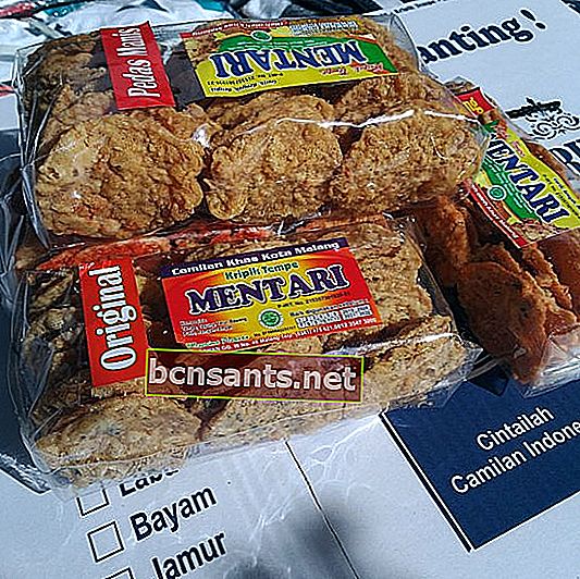 Dijual Oleh Malang Sanan Tempe Chips Malang Size Besar - Original - Malang City - Strudel Malang Online |  Tokopedia