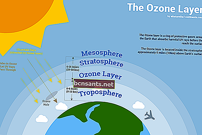 Masalah persekitaran kerana ozon dan iklim