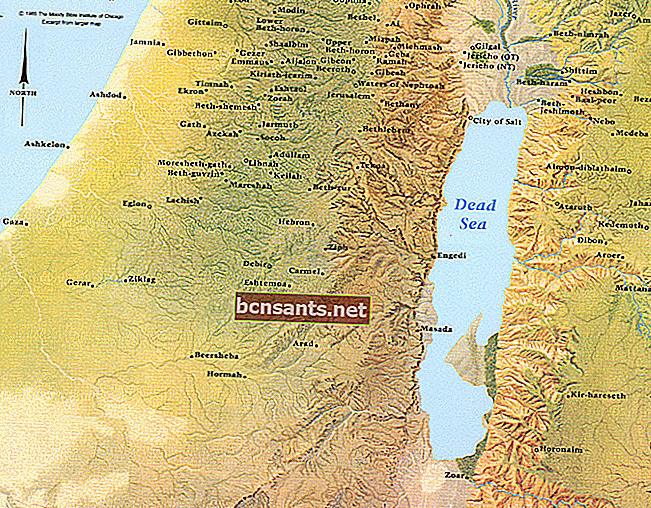 نتائج الصور لخريطة البحر الميت