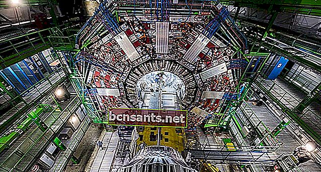 LHC cern