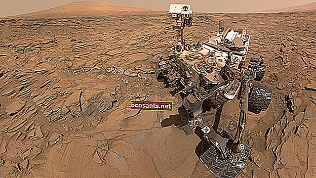 نتيجة الصورة لفضول المريخ
