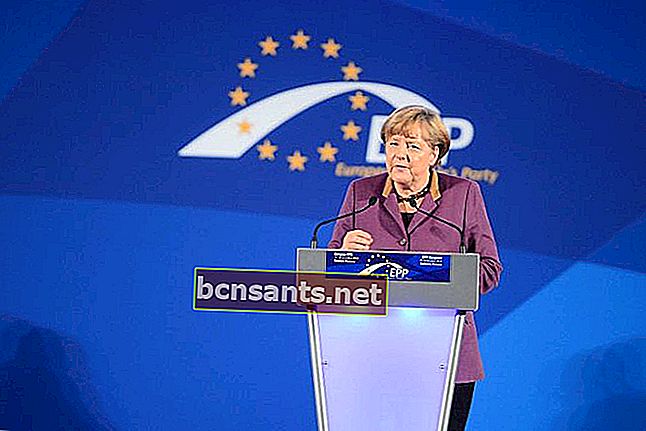Angela Merkel, politologue