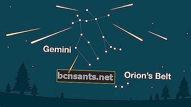 Pluie de météores géminides de la constellation des Gémeaux