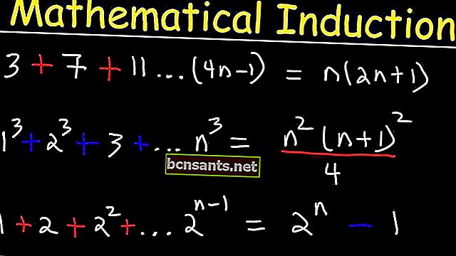 inducción matemática