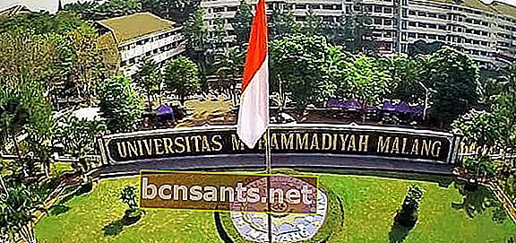 universiti di Malang