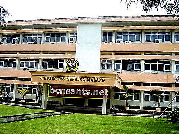 università di Malang