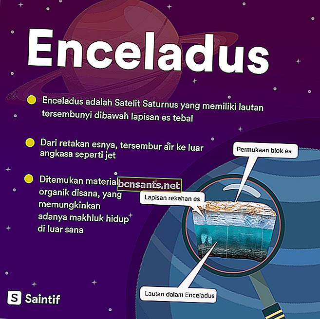 الحياة في enceladus