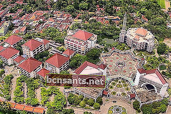 Universiti di Yogyakarta-UMY